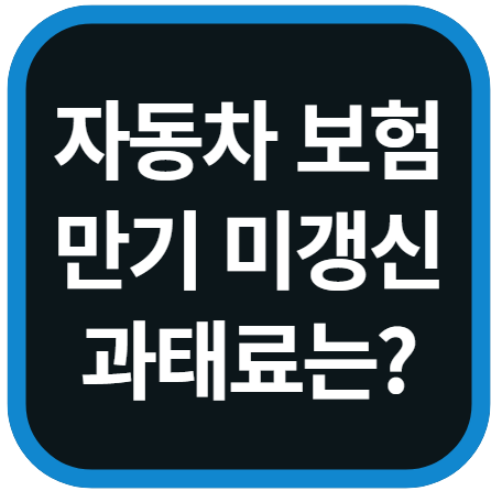 자동차보험 만기 미갱신 과태료는?