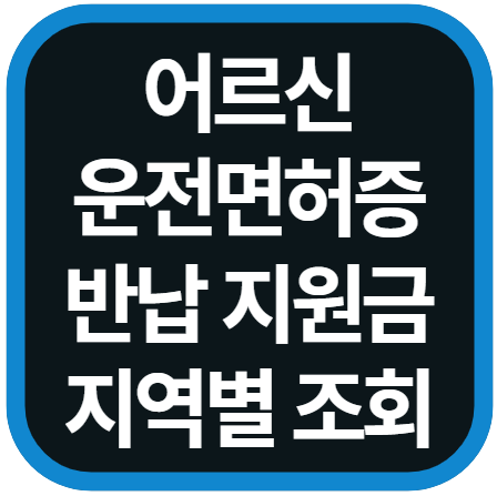 노인 운전면허증 반납 지원금