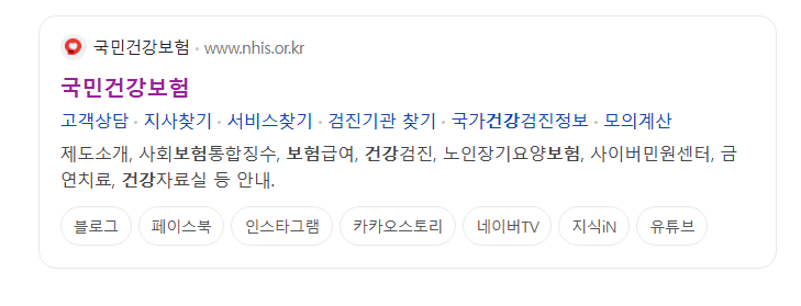 국민건강보험 공식 홈페이지 모습
