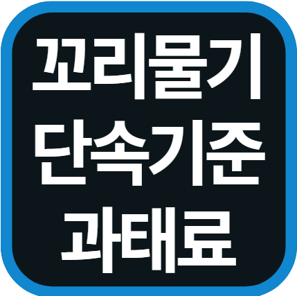 꼬리물기 과태료