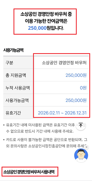 소상공인 경영안정 바우처 잔액 조회