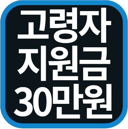 고령자 지원금